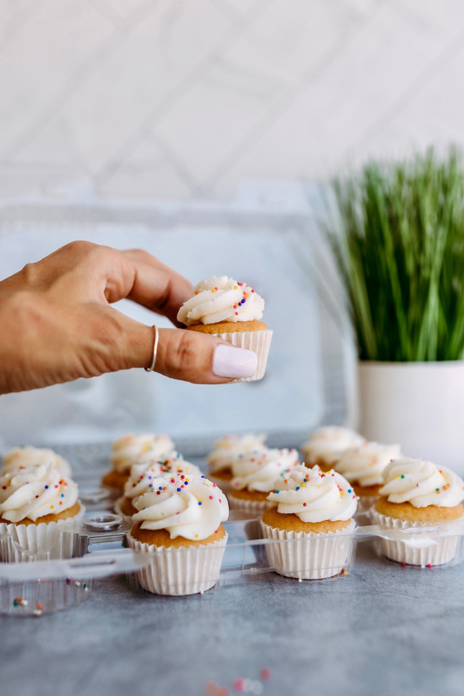 Cupcakes - Hapa Cupcakes & Bakery - Orange County, CA | Hapa Cakes & Bakery